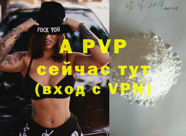 стафф Волоколамск